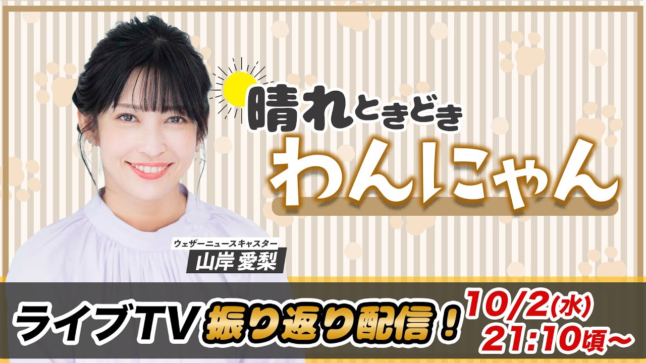 お天気お姉さん あいりんと振り返り 山岸愛梨