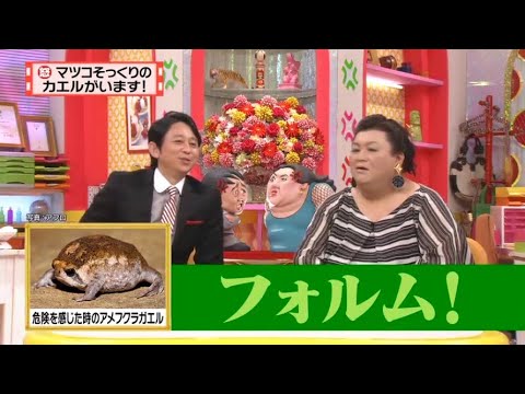 【マツコ&有吉の怒り新党】´꒳`🅗🅞🅣   💝「フォルム!」