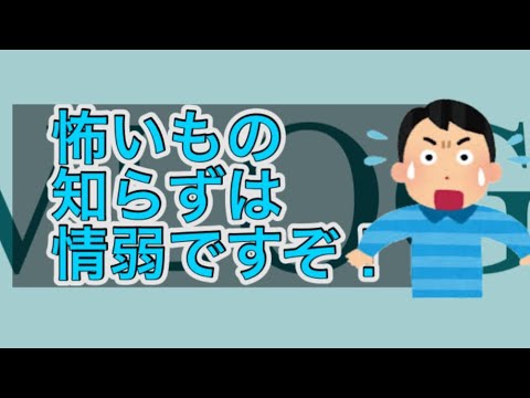 VLOG 怖いもの知らずは情弱  海の様子 波情報 鳥取 #surfing #釣り '24/10/4 岩戸 羽尾