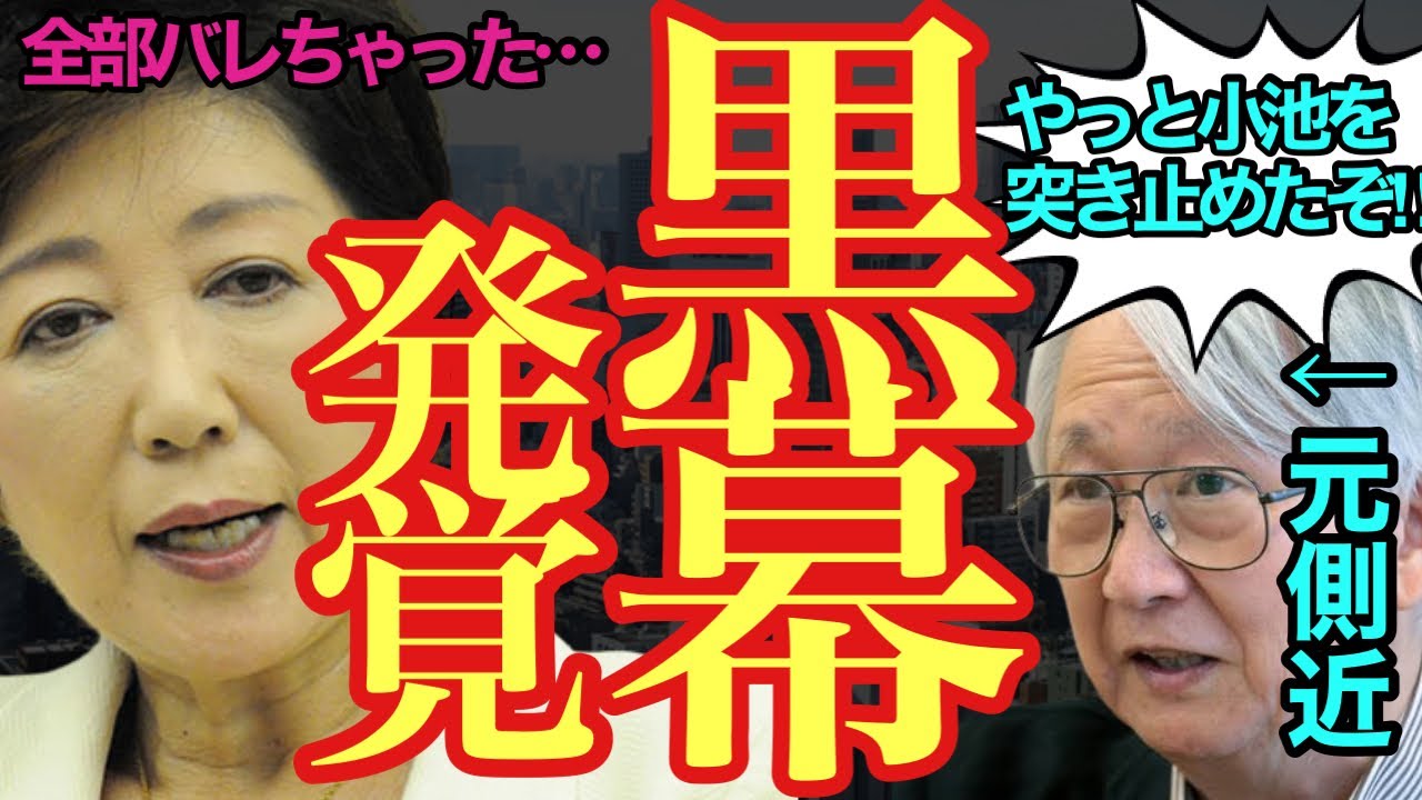 【まさかのアイツもグルだった】新事実発覚‼︎小池氏が当選無効にならないのはバックに〇〇がついてたからだった…【#小池百合子 #小池都知事#東京都知事 #刑事告発#当選無効拒否】