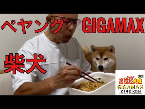 【柴犬飼い主54歳】ペヤング・ギガマックス食べてみた！