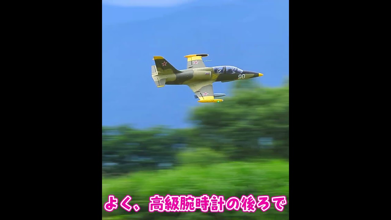 ラジコン飛行機の着陸 #ラジコン #ラジコン飛行機 #着陸 #やっぱりラジコン最高です