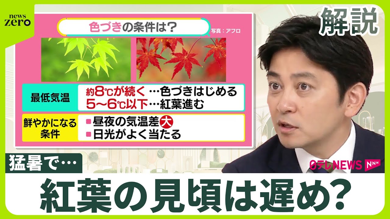 【“猛烈残暑”が紅葉にも影】平年より遅め？  読みづらい見頃  観光のコツは「情報戦で一気に日帰り」【#みんなのギモン】