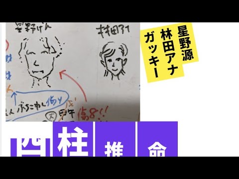 星野源　林田アナ　ガッキー　四柱推命で占いました