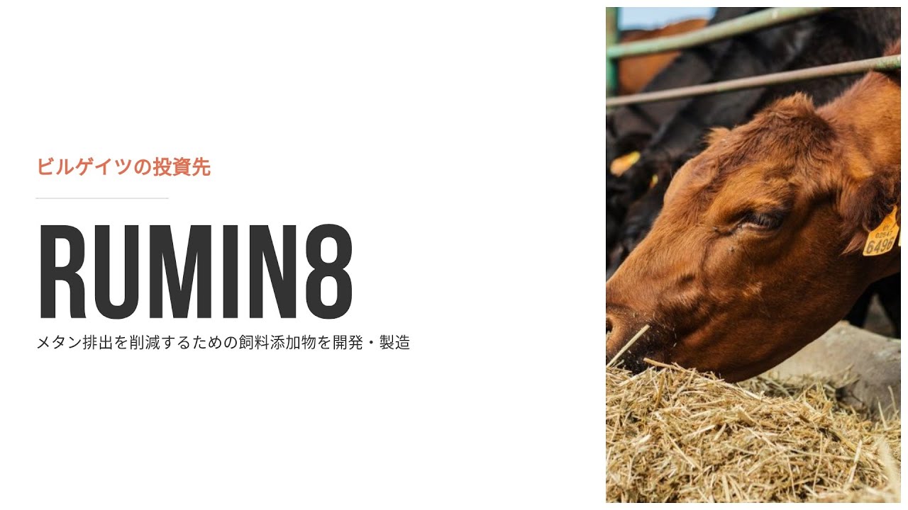 ビル・ゲイツが注目！畜産業界を変えるスタートアップ「rumin8」の挑戦
