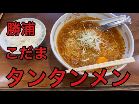 【柴犬飼い主54歳】勝浦で1番おいしいタンタンメン食べにいってみた！