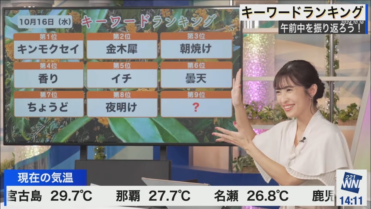 ランキング(2024/10/16水)山岸