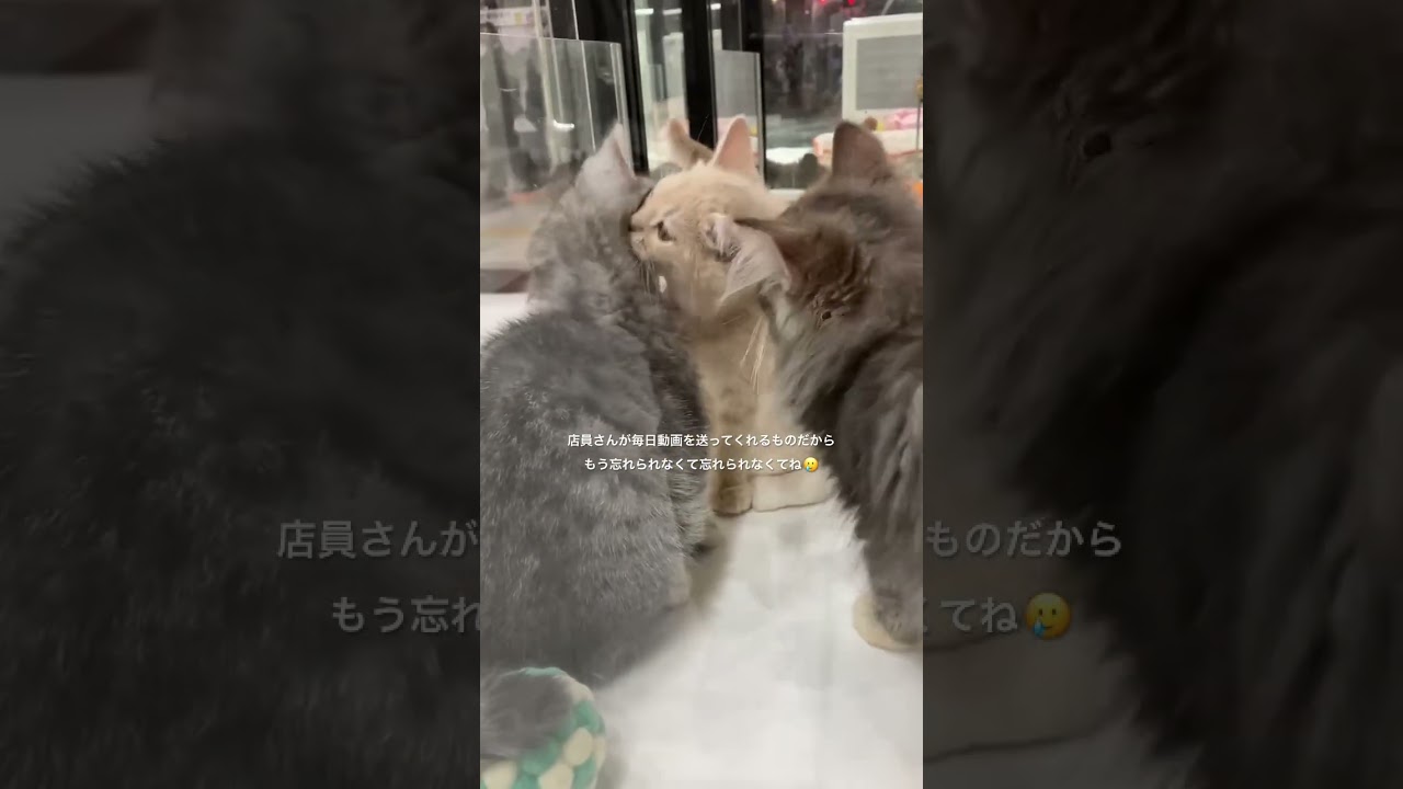 出会ってから