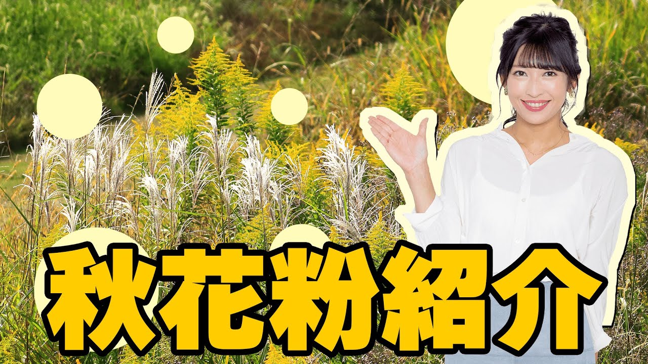 秋花粉紹介映像