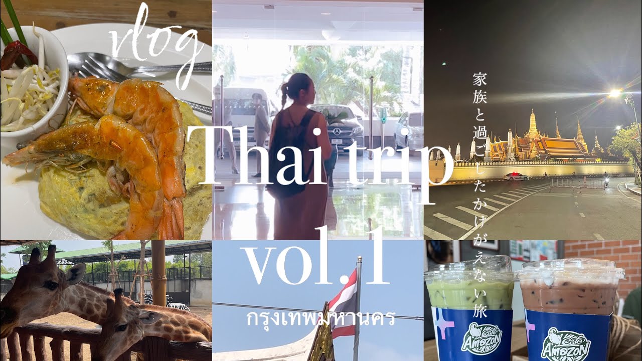 vlog/家族と過ごすタイバンコク🇹🇭vol.1🐘息子初海外でゾウに乗る/5泊6日の旅