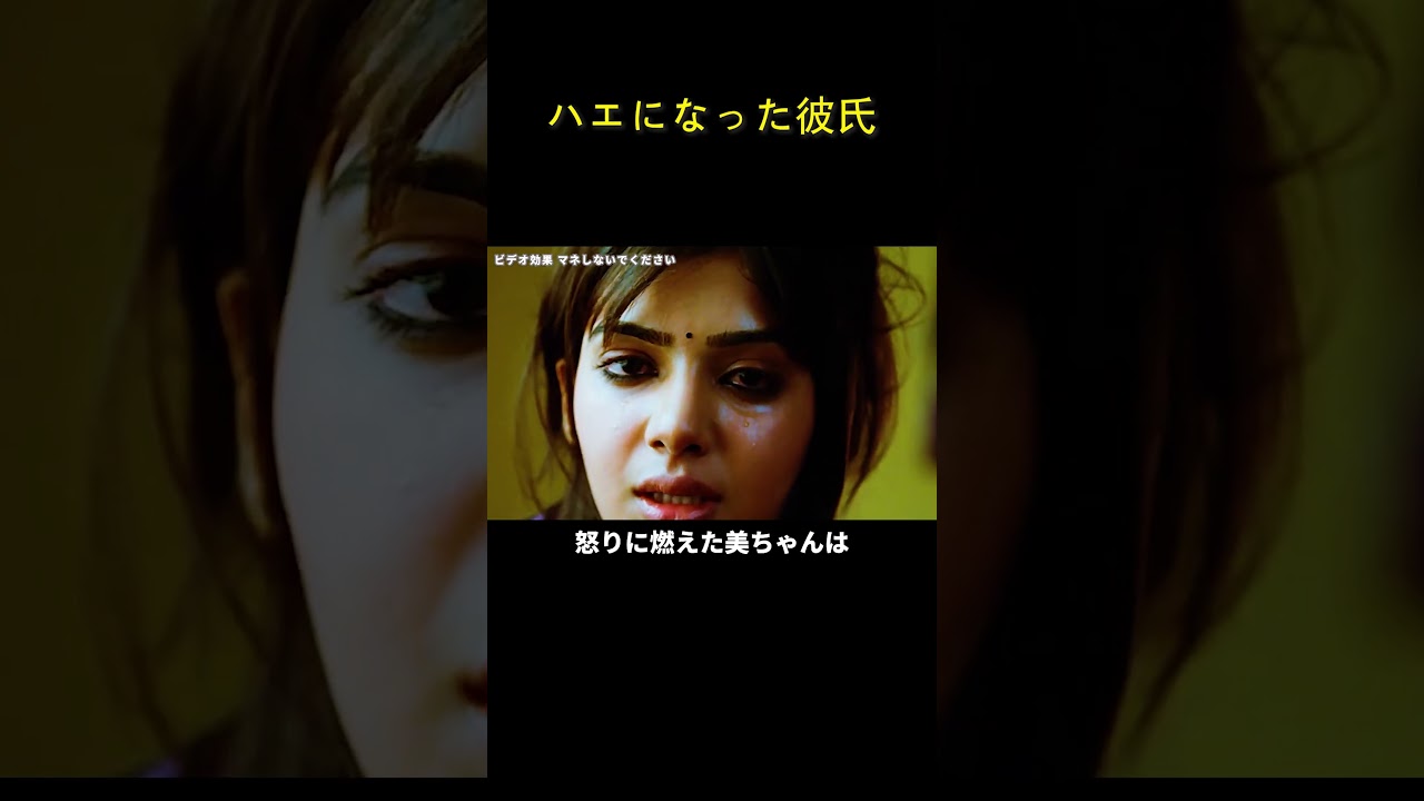 ハエになった彼氏