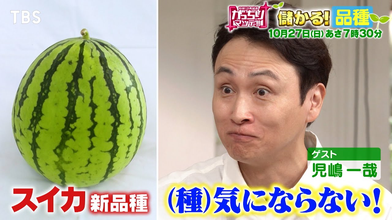 『がっちりマンデー!!』10/27(日) 種が気にならないスイカ!?…儲かる｢品種｣!!【TBS】