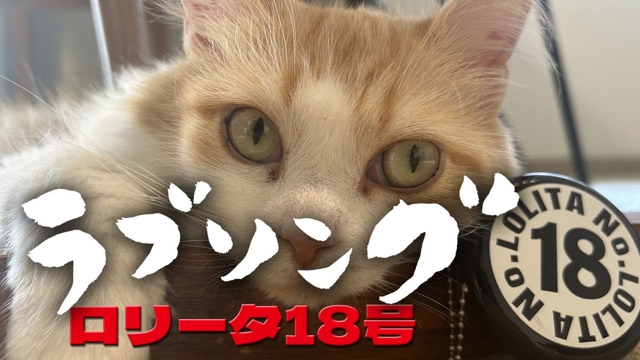 『ラブソング』ロリータ18号