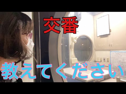 【柴犬飼い主54歳】愛のタイミングを交番に聞きにいってみた！