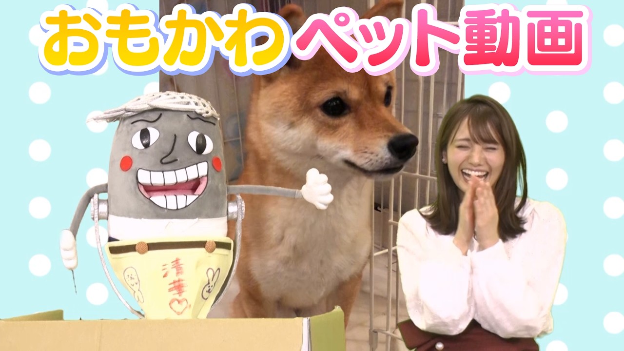 【激カワ】フジアナのかわいい家族大公開！/FODアナマガ「フジアナのいろイロ」