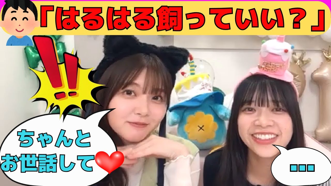 【山口陽世・山下葉留花】キモオタの質問に甘々対応のはるはると、それにドン引きするぱる/文字起こし（日向坂46・showroom）