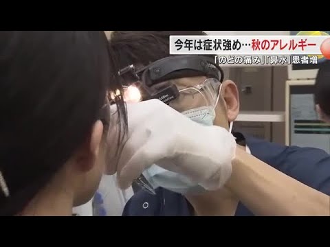 鼻水にのどの痛み、これは風邪？…今は「秋のアレルギー」に要注意　医師に聞く対策【岡山・香川】 (24/10/23 18:00)