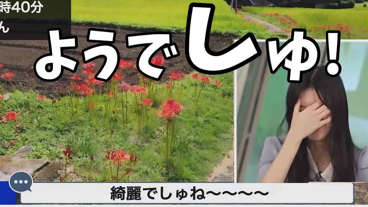 赤ちゃん言葉を使ってしまった結果コメントでいじりまくられるのんちゃんw【大島璃音】ようでしゅ