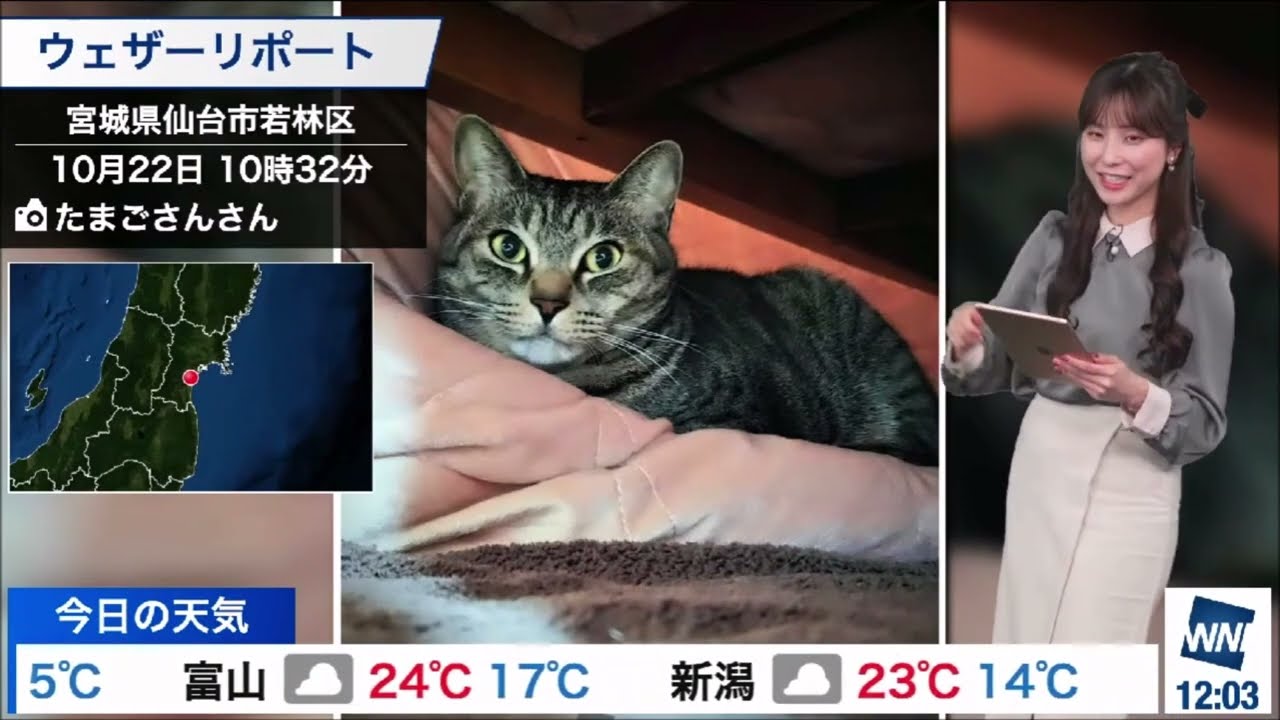 お昼【松雪彩花(あやち)】🌈🎀🍙🍓が【(小川千奈(せんちゃん)🌈🍙🍘🍓🧸🍮🎀🍛🧛🏮👻🔔🐙👘🍚🦢🌭にいじられたはにわポーズを無意識にしてのにゃんにゃん🐈リポートの紹介✨