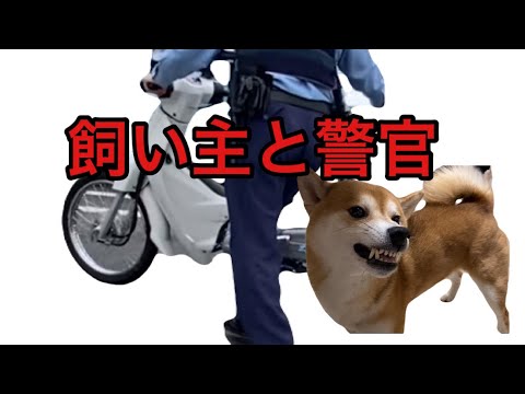 【柴犬飼い主54歳】いよいよ飼い主が警官に！