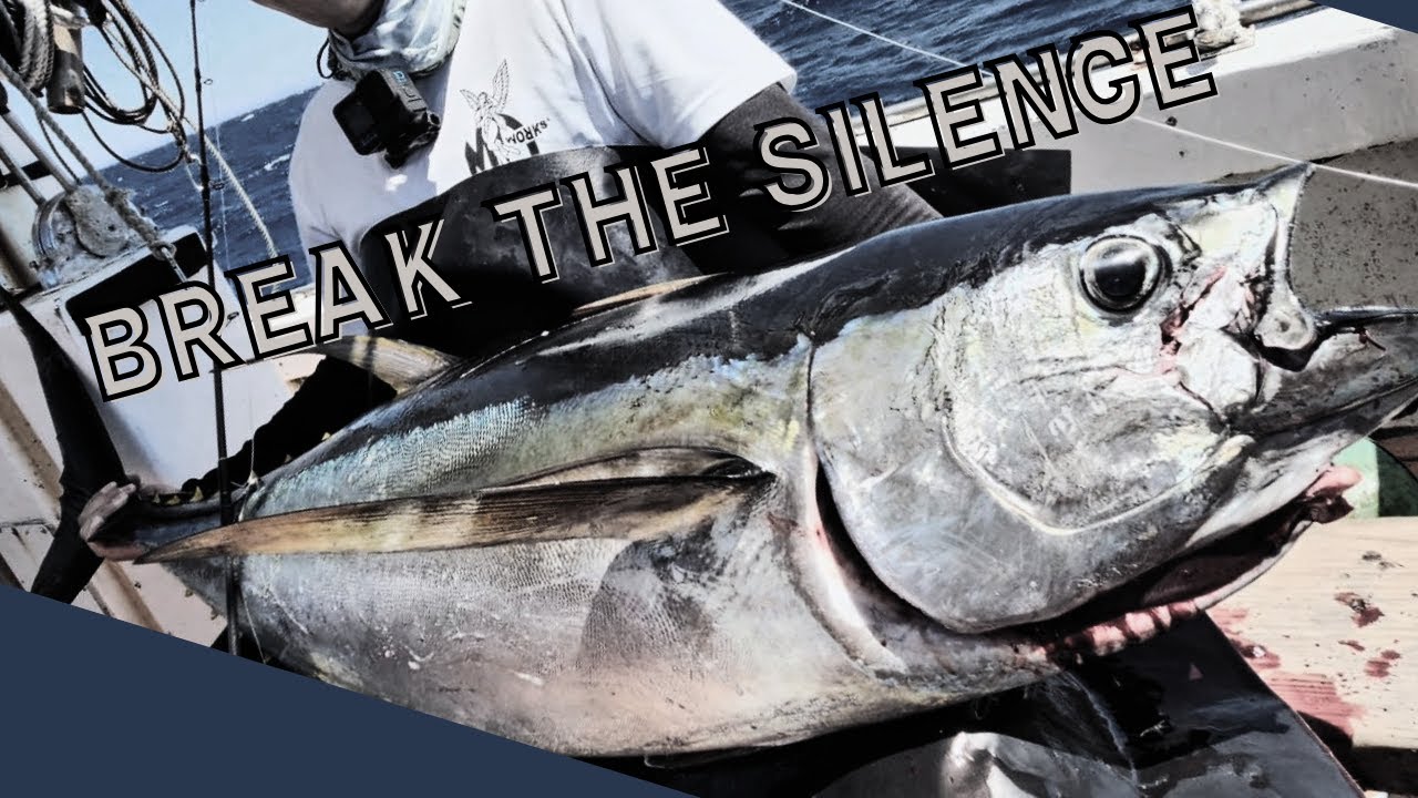 キハダマグロジギング X-DAY 平和な海が一転 沈黙を破る強烈なバイト