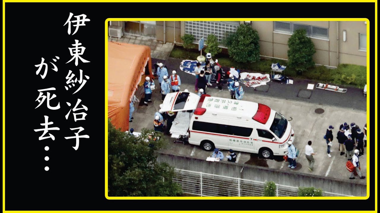 破棄された遺言の内容が…伊東紗冶子の人生の幕引きに震える！呼吸困難で心肺停止間近…伊東紗冶子の現状に絶句！