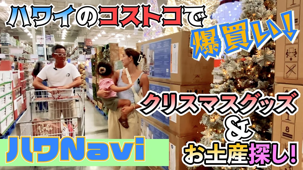 『🌈ハワNavi🌴』爆買い❗️ハワイのコストコでクリスマスグッズ＆お土産を探せ❗️