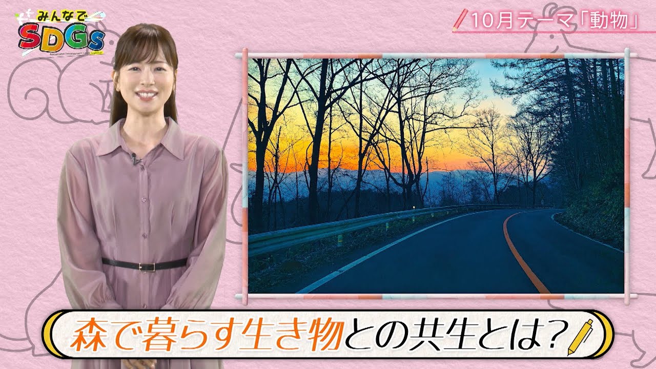 みんなでSDGs #29 |2024年10月17日放送