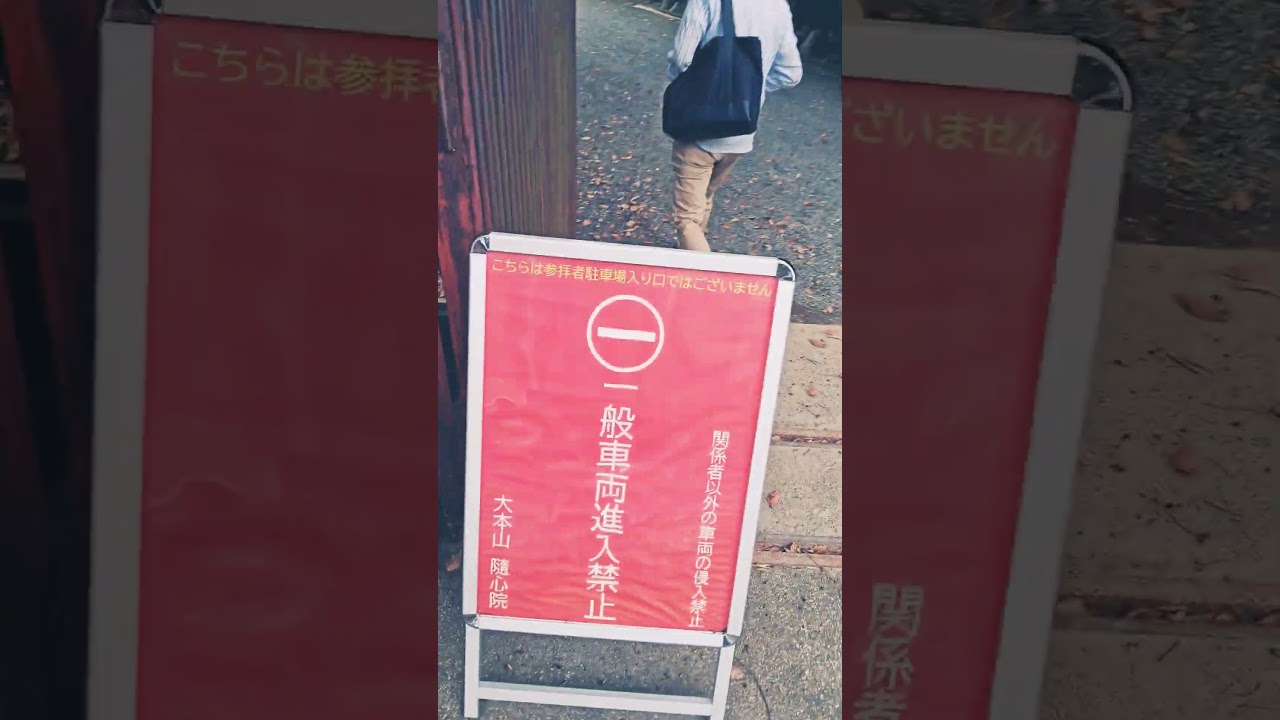 第31回　東急カルチャーウォークに参加しますね。楽しみにしております。ワクワクしますね。KBS京都のアナウンサーの海平和さんと梶原誠さんに逢いました。随心院に来ましたよ。