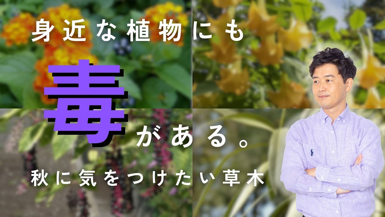 身近な植物にも毒がある　秋に気をつけたい草木