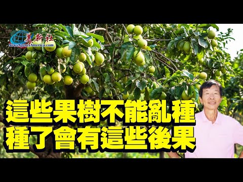 這些果樹不能亂種，種了會有這些後果！