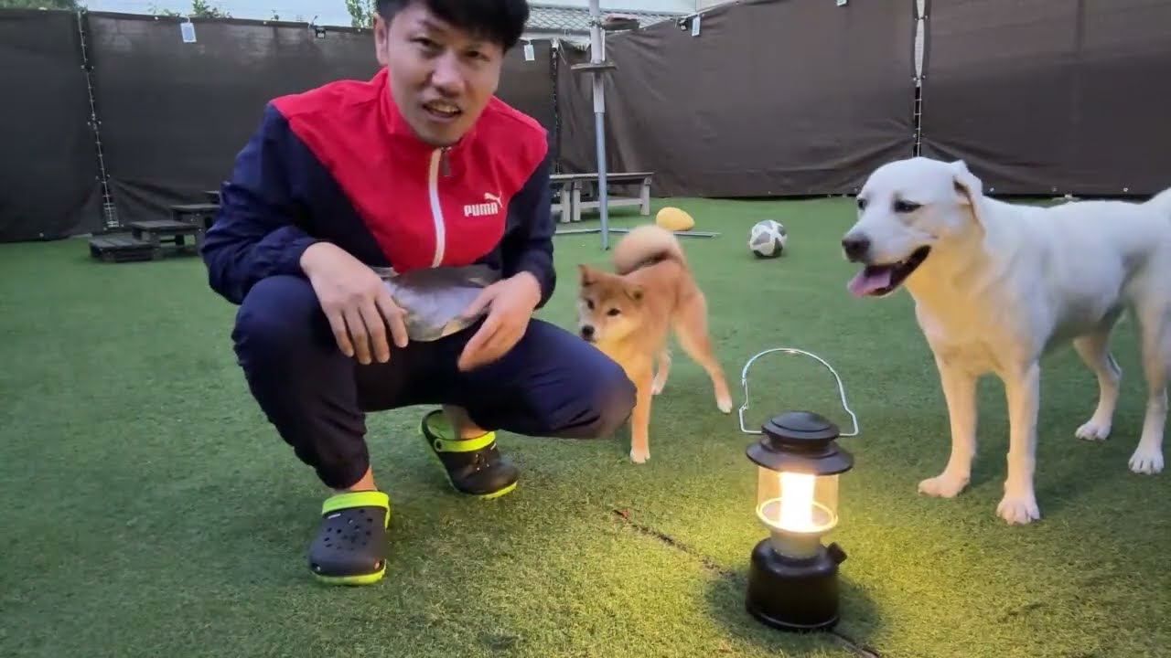 申し訳ありません！お伝えし忘れがありました！