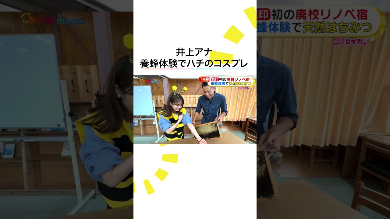 #井上清華 アナウンサー 養蜂体験に初挑戦 #めざましテレビ #やってセイカ！ #shorts