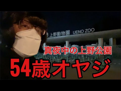 【柴犬飼い主54歳】真夜中にオヤジが上野公園散歩してみた！