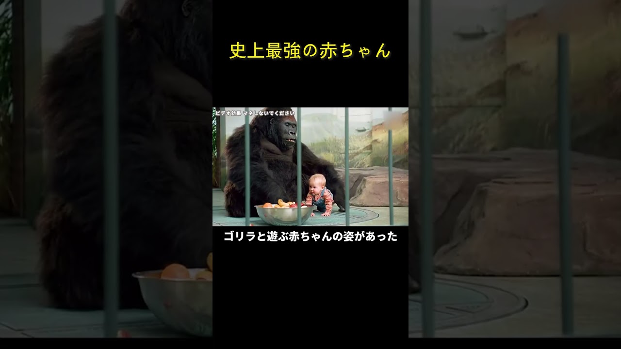 史上最強の赤ちゃん