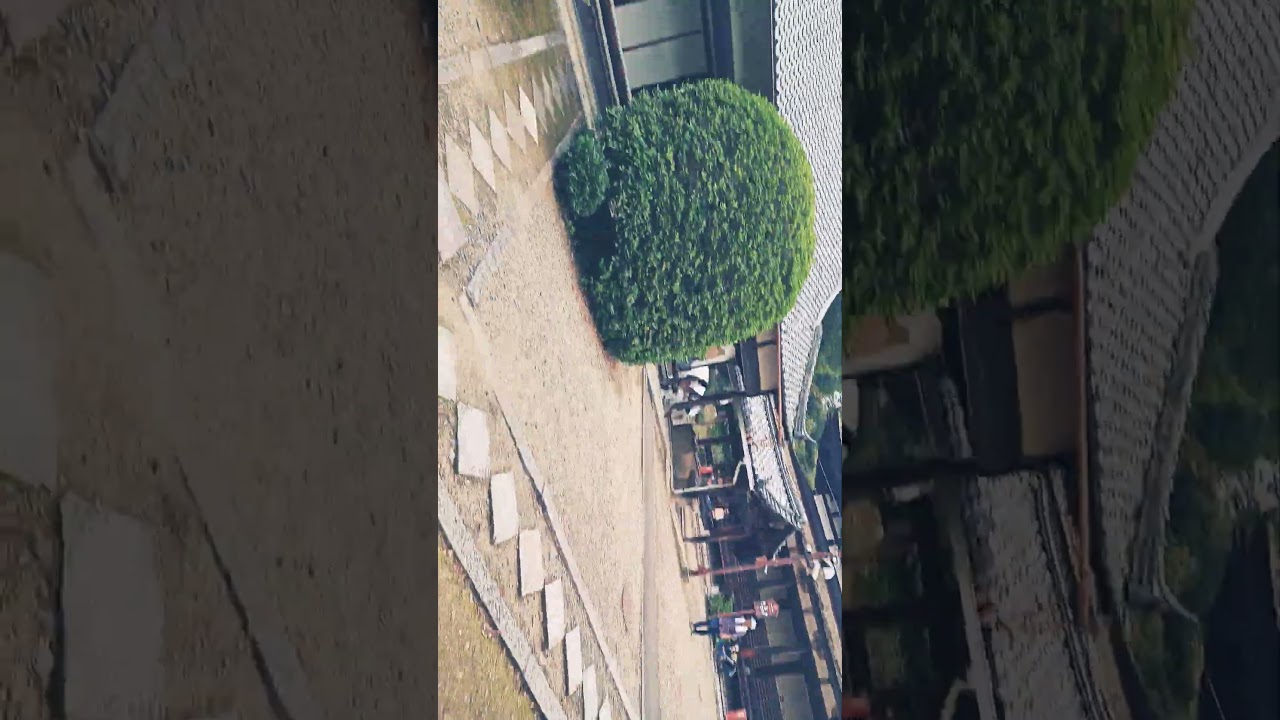 第31回　東急カルチャーウォークに参加しますね。楽しみにしております。ワクワクしますね。KBS京都のアナウンサーの海平和さんと梶原誠さんに逢いました。醍醐寺に来ましたよ。
