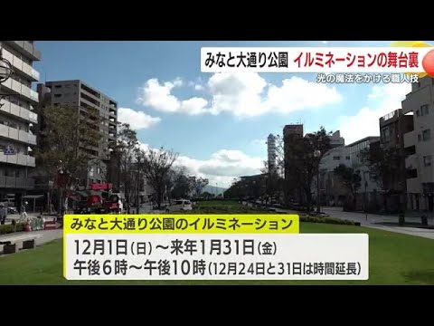 みなと大通り公園　イルミネーションの舞台裏　光の魔法をかける職人技　鹿児島市 (24/11/26 18:44)
