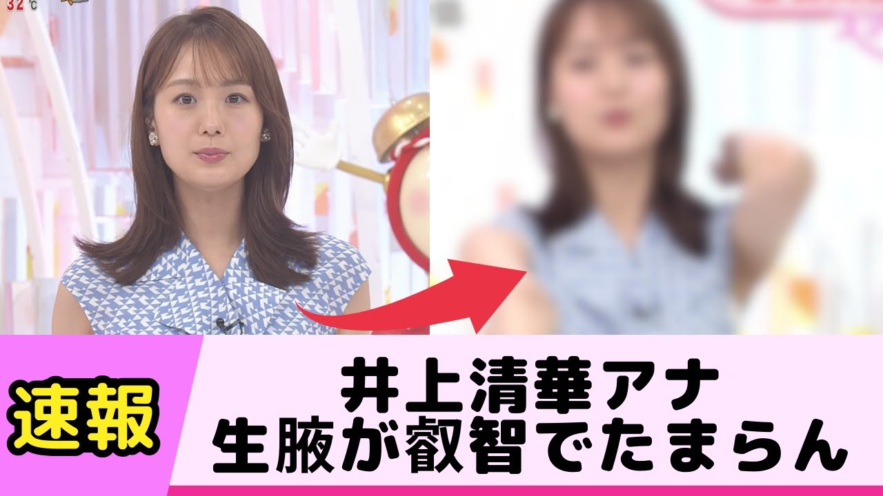 井上清華アナの生腋が叡智でたまらん
