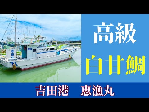 【吉田港　恵漁丸】〜静岡シロアマダイ絶好調！〜