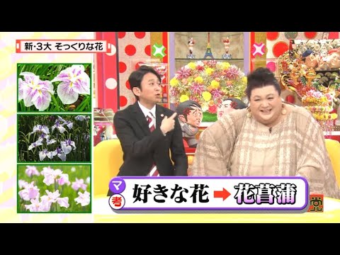 【マツコ&有吉の怒り新党】´꒳`🅗🅞🅣   💝「新・3大そっくりな花」