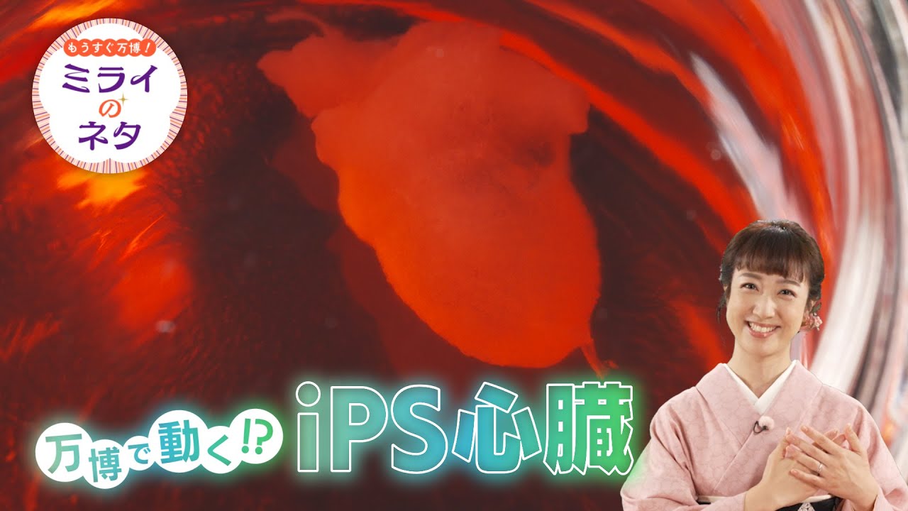 【出演：川田裕美】 『もうすぐ万博！ミライのネタ』 着々と準備が進む大阪・関西万博！▼今回は大阪大学とクオリプス社で研究が進められているiPS心臓を紹介