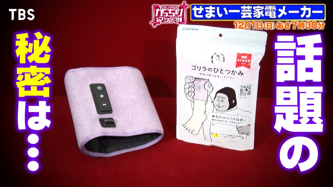 『がっちりマンデー!!』12/1(日) せまい一芸家電メーカー！掃除できるのは窓“だけ”!?【TBS】