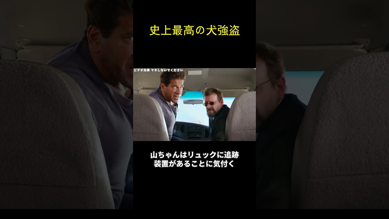 史上最高の犬強盗