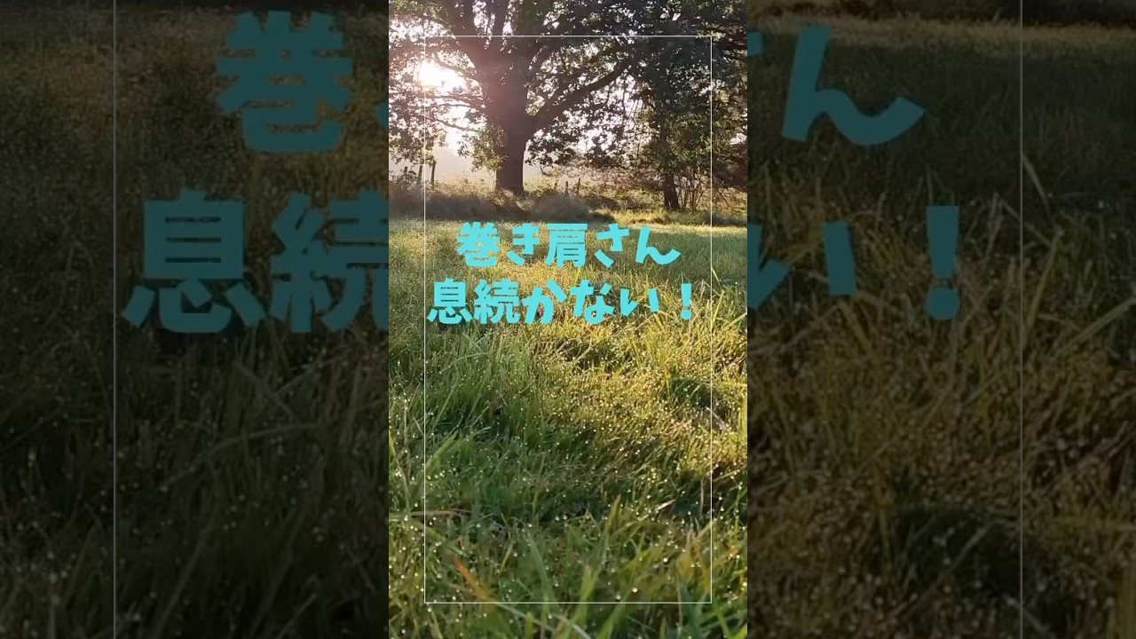 #short巻き肩さん息続かない！