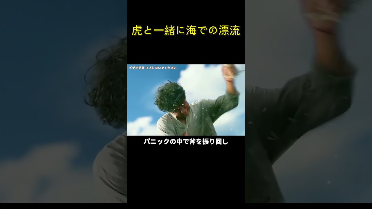 虎と一緒に海での漂流
