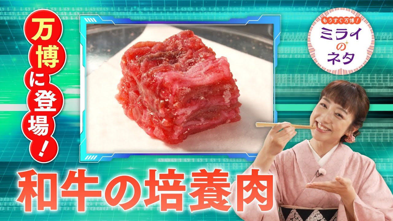 【出演：川田裕美】 『もうすぐ万博！ミライのネタ』 着々と準備が進む大阪・関西万博！▼万博にも展示するという培養肉の研究に参画している「培養肉未来創造コンソーシアム」の取り組みにスポットを当てます。