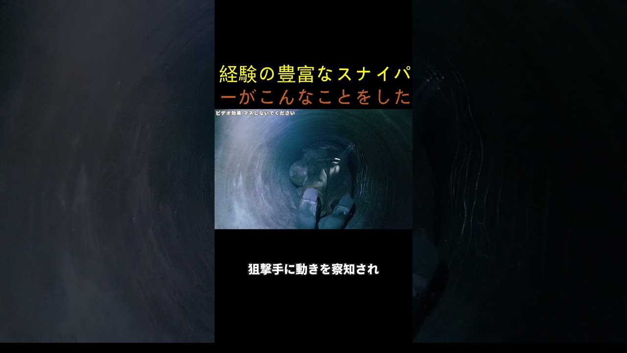 経験の豊富なスナイパーがこんなことをした