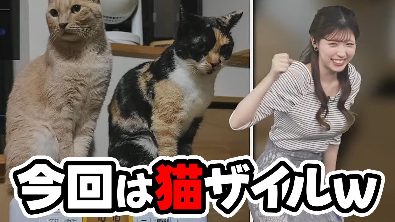 【小林李衣奈】先日リエザイルになったお天気キャスターですが今度はメンバー追加で猫ザイルになる