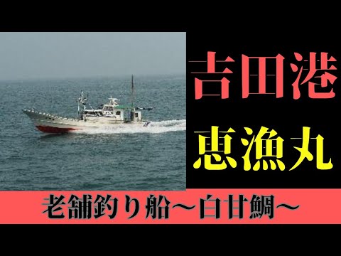 【吉田港　恵漁丸】釣りに人生を賭けるベテラン船長〜白甘鯛〜