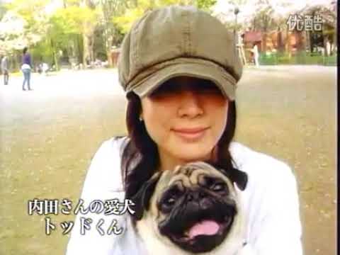 【オーラの泉】内田恭子：「ありがとう」という作法  オーラの泉番外編 ※説明欄CM飛ばしあり